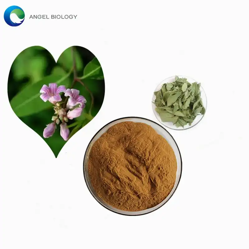How Is Folium Apocyni Veneti Extract Powder Made?
